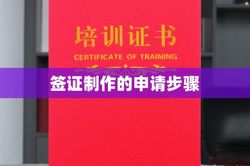 新竹签证制作的申请步骤