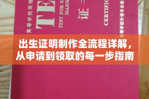 新竹出生证明制作全流程详解，从申请到领取的每一步指南
