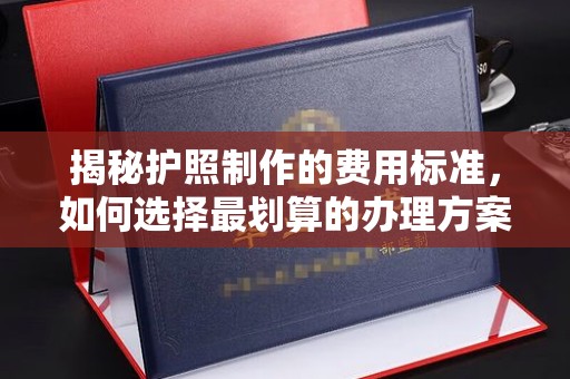 新竹揭秘护照制作的费用标准，如何选择最划算的办理方案？