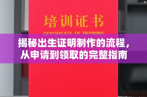 新竹揭秘出生证明制作的流程，从申请到领取的完整指南