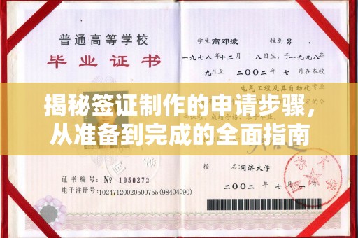 新竹揭秘签证制作的申请步骤，从准备到完成的全面指南