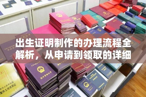 新竹出生证明制作的办理流程全解析，从申请到领取的详细指南