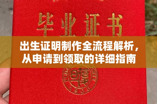 新竹出生证明制作全流程解析，从申请到领取的详细指南