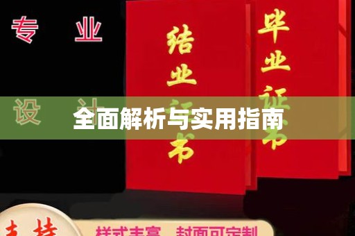 新竹全面解析与实用指南