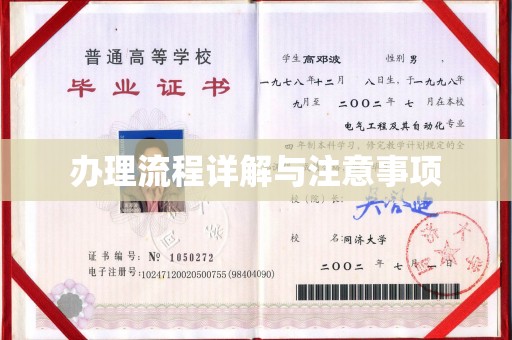 新竹办理流程详解与注意事项