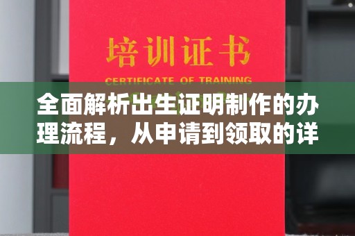 新竹全面解析出生证明制作的办理流程，从申请到领取的详细指南